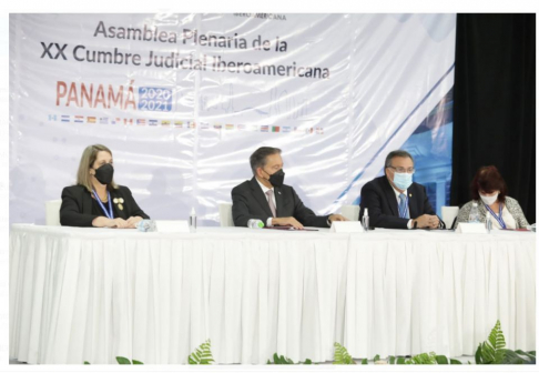 La cumbre judicial es una organización que promueve la cooperación y la concertación entre los Poderes Judiciales de 23 países de la comunidad iberoamericana de naciones.