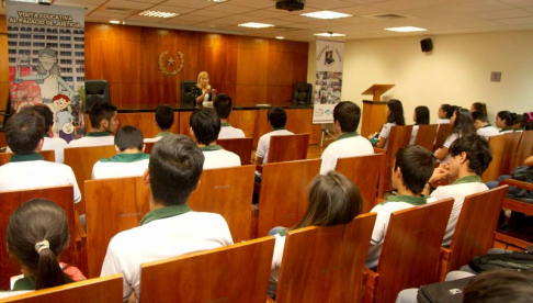 La camarista Mirtha González de Caballero dio a conocer detalles de las infracciones tipificadas en la normativa penal.
