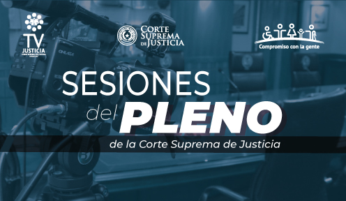 Sesiones del Pleno