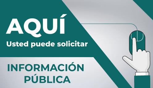 Sistema de Acceso a Información Pública