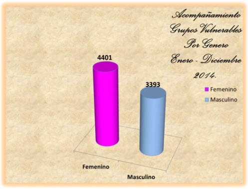 Estadísticias 2014 - Acompañamiento Grupos Vulnerables Por Género