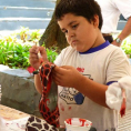 Campaña Zapatos Rojos 