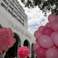 Cierre de la campaña "Un día para vivir"