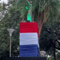 Lazo Verde 2022