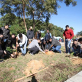 "Reforestando Justicia", Parque Solidaridad de Asunción.