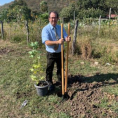 "Reforestando Justicia", Alto Paraguay.