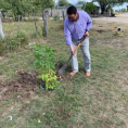 "Reforestando Justicia", Alto Paraguay.