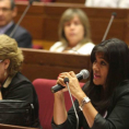 Seminario Internacional Proyecto de Ley Integral