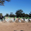 Con todas las normas dispuestas por protocolo sanitario, se lanzaron 150 globos verdes además de un simbólico lazo verde.