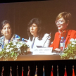 La doctora María Mercedes Buongermini Palumbo integrando el panel.