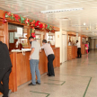 Los profesionales concurren regularmente a revisar sus expedientes.