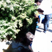 Encargados del INTN tomaron muestras del arroyo Pa