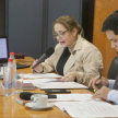 Durante la jornada se abordaron los fundamentos que orientan la ejecución penal, así como el trámite de los incidentes previstos en la legislación vigente.