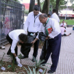 En la Plaza de la Justicia realizan minga ambiental. 