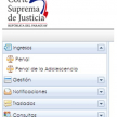 Paso 2: Pantalla de selección, completar campos requeridos.