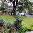 El jardín presenta aspecto colorido en la Plaza.