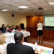 Informe sobre progresos en el sistema de justicia mediante el PEI.