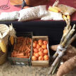 Los agricultores exponen sus productos durante la Expo.