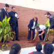 Plantación simbólica en el patio de la escuela.