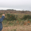 Constatan tala de árboles y quema de bosques en Itakyry