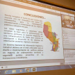 Se realizaron intercambios entre miembros de la Red Interamericana de Catastro y Registro de la Propiedad.