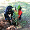 La actividad culminó con la plantación de los lapachos en la Plaza de la Justicia, en presencia de los niños de “Dulce Despertar”.