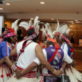 Ciclo de conferencias sobre "El Caso Indígena"