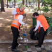 Se desarrollaron tareas de recolección de basuras, así como detección y eliminación de posibles criaderos de mosquitos.