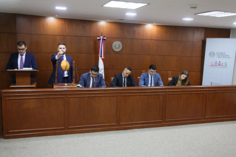 Sorteo de preopinantes de la Sala Constitucional.