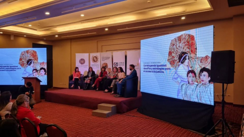 La Prof. Dra. Silvia López Safi, directora de la Secretaría de Género del Poder Judicial, participó en calidad de panelista del Seminario Internacional “Construyendo igualdad: desafíos y estrategias para el acceso a la justicia”.