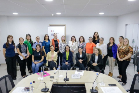 La Mesa PREVIM está conformada por representantes de 17 instituciones públicas y dos organizaciones de la sociedad civil.