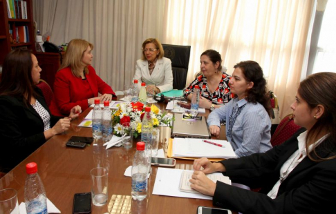 Momento de la reunión sobre el anteproyecto de Ley contra la violencia hacia la mujer