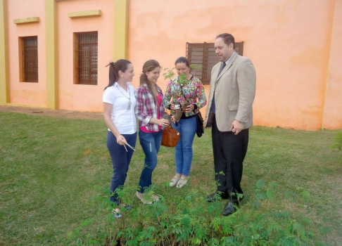 La Circunscripción Judicial de Villarrica entregó plantines.