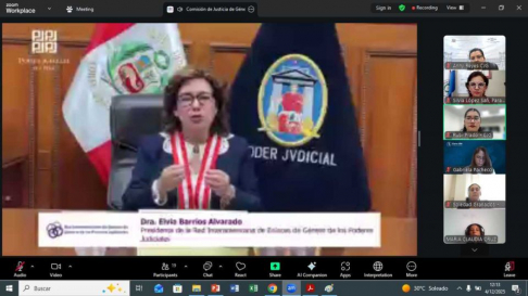 Avances y desafíos de género fueron abordados en la II Reunión Ordinaria de la Red Interamericana.