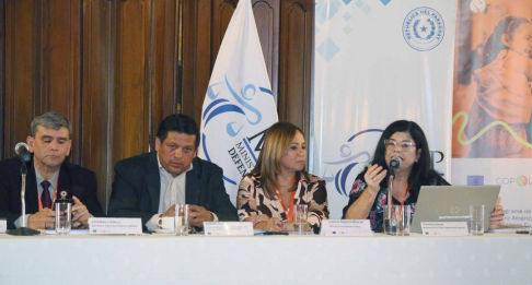 Ministra Llanes participó del Taller Nacional sobre Defensa Penal con Enfoque de Género en Delitos Menores.