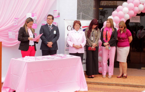 "Un día para vivir" presentaron en Concepción.