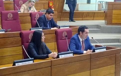 El magistrado Guillermo Trovato, en su carácter de coordinador de la Oficina Técnica de Apoyo al Fuero de la Niñez y Adolescencia (OTANA), representó a la Corte Suprema de Justicia en la audiencia pública en el Congreso Nacional.