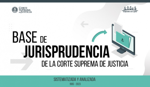 Disponible base de datos de jurisprudencia en sitio web del Poder Judicial