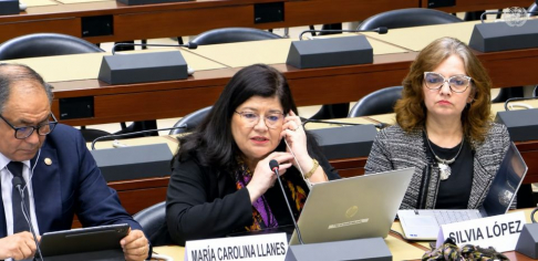 Ministra Carolina Llanes participó en diálogo constructivo con el Comité CEDAW sobre acceso a la justicia y políticas de género.