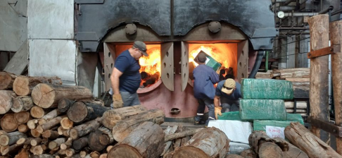 Incineraron más de 1.110 kilogramos de marihuana incautada en Ñeembucú.