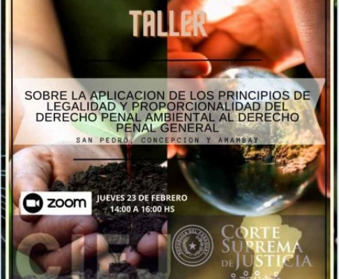 Taller sobre Principios de Legalidad y Proporcionalidad en el Derecho Ambiental