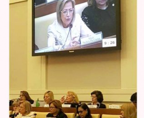 Durante la segunda jornada del encuentro, la Ministra Alicia Pucheta en representación de nuestro país, habló sobre la experiencia tras la sanción de la Ley N° 4.788/1.