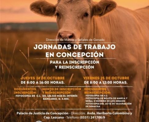 Flyer informativo de la actividad