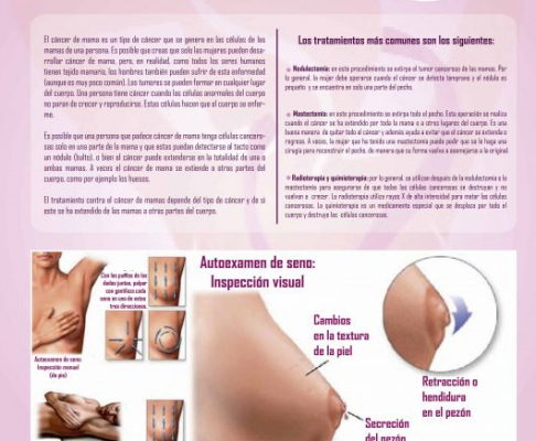 19 de octubre: Día Mundial de Lucha contra el Cáncer de Mama.