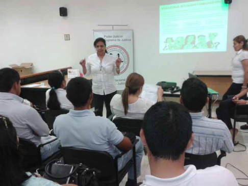Profesionales de la I Región Sanitaria estuvieron a cargo de las capacitaciones desarrolladas en Concepción.