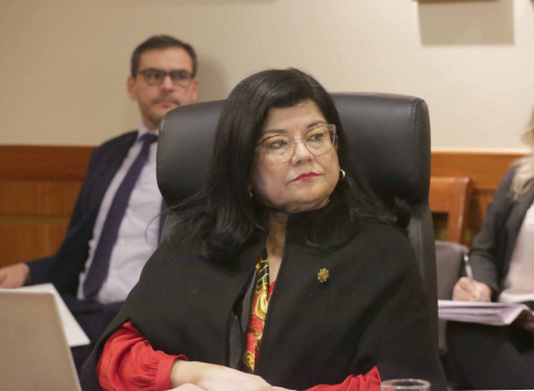 Alta producción en Tribunales y Juzgados de la Niñez y la Adolescencia a nivel país.