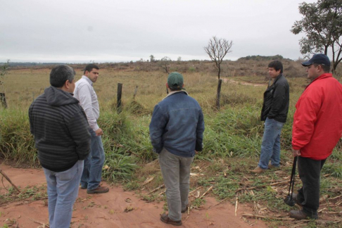Responsables de la Dirección de Derecho Ambiental de la Corte Suprema y Seam observando el predio talado