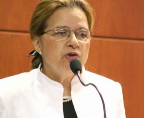 Dra. Alicia Pucheta de Correa es la coordinadora de la jornada 