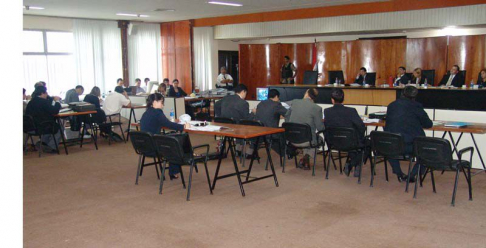 Durante la audiencia oral y pública.