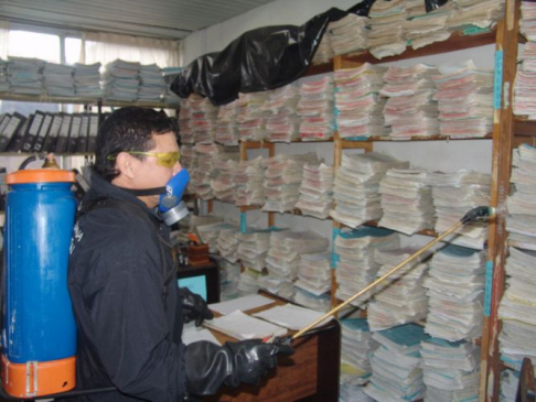 Momentos de la Fumigacion.